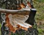 Best Tree Felling Company Johannesburg Best Tree Felling Company Johannesburg