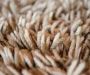Rug Cleaning Adelaide | Persian Experts