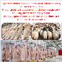 For sale chilled meat from Georgia and Sudan We also Holland