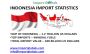 Indonesia Import Data – Real-World Insights & Shipment Detai