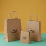 10" x 5" x 13" Printed Kraft Paper Bags with Twisted Handles