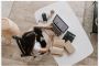  Your Dream Work-From-Home Job Starts NOW! 
