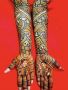 Best Mehandi Artist in Delhi | Raju Mehandi Artist