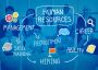 Human Resource In Delhi Human Resource In Delhi