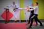 Adult Taekwondo Training