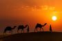 Rajasthan