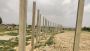 Buy Affordable Readymade Compound Walls at IndiaWalls: Best 