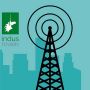 Indus Towers | Investor Information & Financial Insights