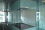 Modern & Minimalist Frameless Single Swing Door