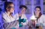 How Private Tutors Impact Academic Success