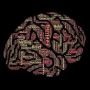 Book Your Session with Innerpsych Online Psychologists Austr