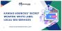 Kansas Agencies’ Secret Weapon: White Label Local SEO Servic