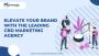 Elevate Your Brand with the Leading CBD Marketing Agency