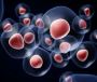 Potential Benefits of Exosomes from Hair Clinic Perth