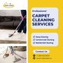 Professional Carpet Cleaning in Mississauga Professional Carpet Cleaning in Mississauga
