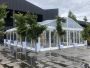 Hire Canopies to Make Your Adventure Camps Worthwhile