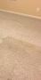 Expert Carpet Cleaning in Newton IA for Spotless Carpets