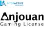 Anjouan company formation and licensing