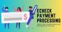 Understanding eCheck Payments Understanding eCheck Payments