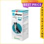 Zylkene support your dog’s balanced behaviour at pocket frie
