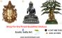 Shop for the finest Buddhist Statues