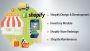 Top Shopify Web Development Agency USA in India