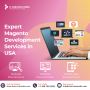 Expert Magento Development Services in USA  | Top Magento De