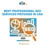 Best Professional SEO Services provider in USA -ITXITPro LLC