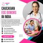 Caucasian Egg Donors in India