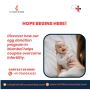 Complete Guide to Egg Donation Program in Mumbai