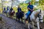Scenic Horseback Adventures in Pigeon Forge at Big Rock Dude