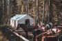 Horseback Trail Rides