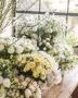Best Same Day Flower Delivery Services in Brisbane Best Same Day Flower Delivery Services in Brisbane