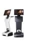 Transform Your Business with Temi Robot in UAE - Available a