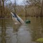 Realistic Duck Hunting Decoys & Goose Decoys | JAHPOO – Jahp