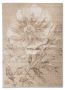 Buy Brown Rugs Buy Brown Rugs