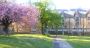 Premier Islamic Education: Top Schools in the UK