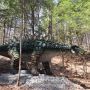Discover the Ultimate Robotic Dinosaur by Aurora Dinosaur
