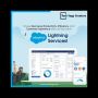 Salesforce Lightning Consultant Salesforce Lightning Consultant
