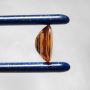 Stunning Zultanite Cabochons Browse Exquisite Gemstone