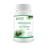 Buy Saw Palmetto Online