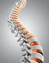 Innovative Spine Care with Alternative Fusion