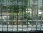 Window Replacement in Mokena