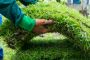J&J Lawn Maintenance LLC | Landscaper | Lawn Care Service in
