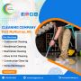Professional Carpet Cleaning near me