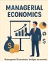  Managerial Economics