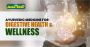 Ayurvedic Medicine for Digestive Health & Wellness