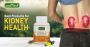 Best Products for Kidney Health – Ayurvedic Kidney Care Blog