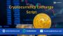Launch Your Robust Cryptocurrency Exchange Script Immediatel