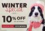 Winter Special Sale: 10% off On all Pet Supplies + Free Ship